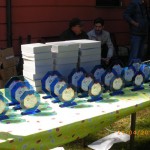 resized_IMGP1663 resized_IMGP1663