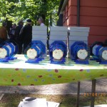 resized_IMGP1664 resized_IMGP1664