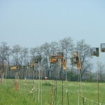 resized_IMGP0150 - Copia