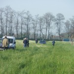 resized_IMGP0151 - Copia