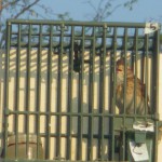 resized_IMGP0152 - Copia