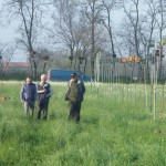 resized_IMGP0155 - Copia