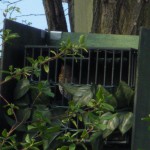 resized_IMGP0156 - Copia