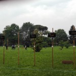 resized_IMG_20160529_070022