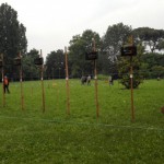 resized_IMG_20160529_070053