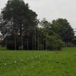 resized_IMG_20160529_070250