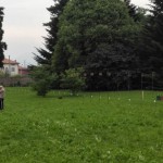 resized_IMG_20160529_070340