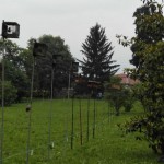 resized_IMG_20160529_070414