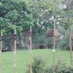 resized_IMG_20160529_070622