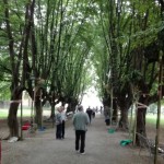 resized_IMG_20160529_072525