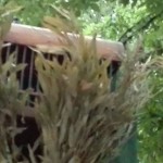 resized_IMG_20160529_072549