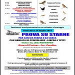 Locandina gara Vestone