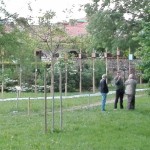 IMG_20180501_070944_resized_20180502_120534504