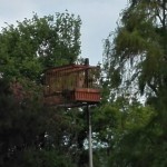 IMG_20180501_072032_resized_20180502_120423659