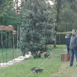 IMG_20180501_072038_resized_20180502_120425270