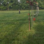 IMG_20180506_070031_BURST001_COVER_resized_20180506_064546859