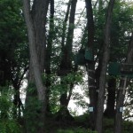 IMG_20180506_070326_resized_20180506_064542960