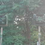 IMG_20180728_072402_resized_20180728_125151883