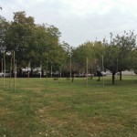 resized_IMG-20180826-WA0054