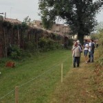 resized_IMG-20180826-WA0059