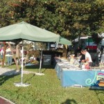 resized_thumbnail_IMG-20180812-WA0014