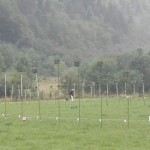 resized_thumbnail_IMG-20180812-WA0023