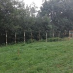 resized_thumbnail_IMG-20180812-WA0024